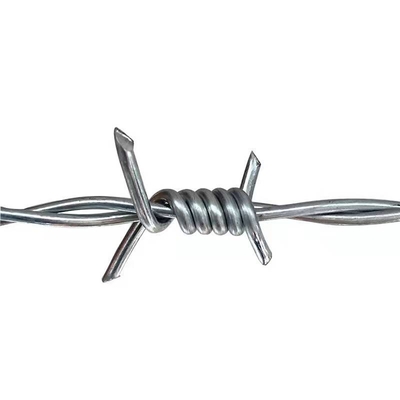 Il ferro di TLWY ha galvanizzato il filo spinato del rasoio che recinta ISO9001