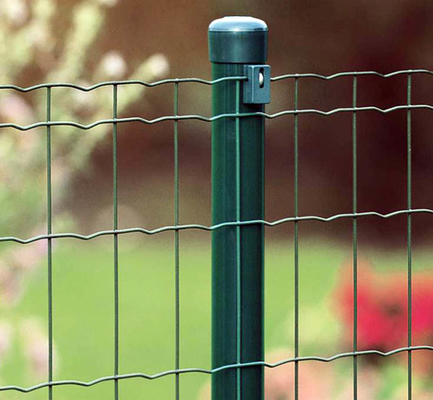 recinto più economico di vendita caldo di Holland Welded Wire Mesh Fence /Euro del prodotto