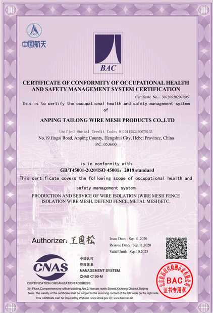 Porcellana Anping Tailong Wire Mesh Products Co., Ltd. Certificazioni