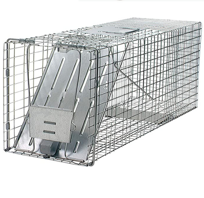 il PVC di 2mm Dia Live Cage Traps Galvanized Or ha ricoperto