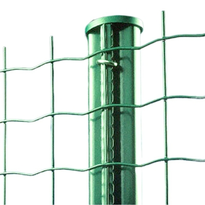 IL PVC ISO9001 ha ricoperto il tipo dell'euro di altezza 60cm-200cm di Holland Wire Mesh Fence Netting