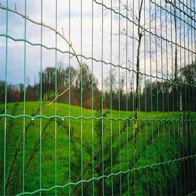 IL PVC di TLWY ha ricoperto Mesh Fencing saldato 9.0mm Holland Fence